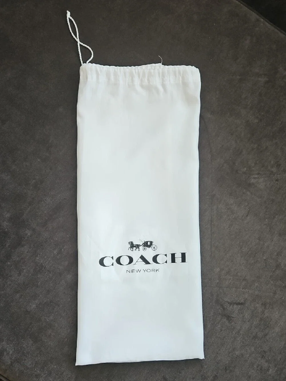 Coach Dust Bag- Large
